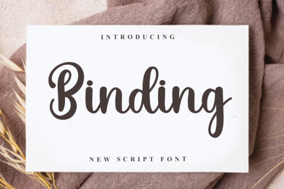 Elevate Your Campaigns with Binding: A Delicate Handwritten Font