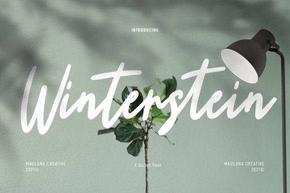 Enhance Your Brand with Winterstein Font