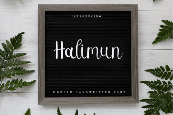 Hallimun: A Versatile Script for Creative Projects