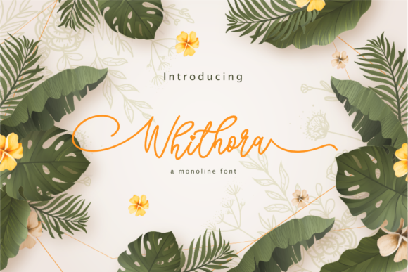 Whithora: A Delicate Script Font for Elegant Web Design